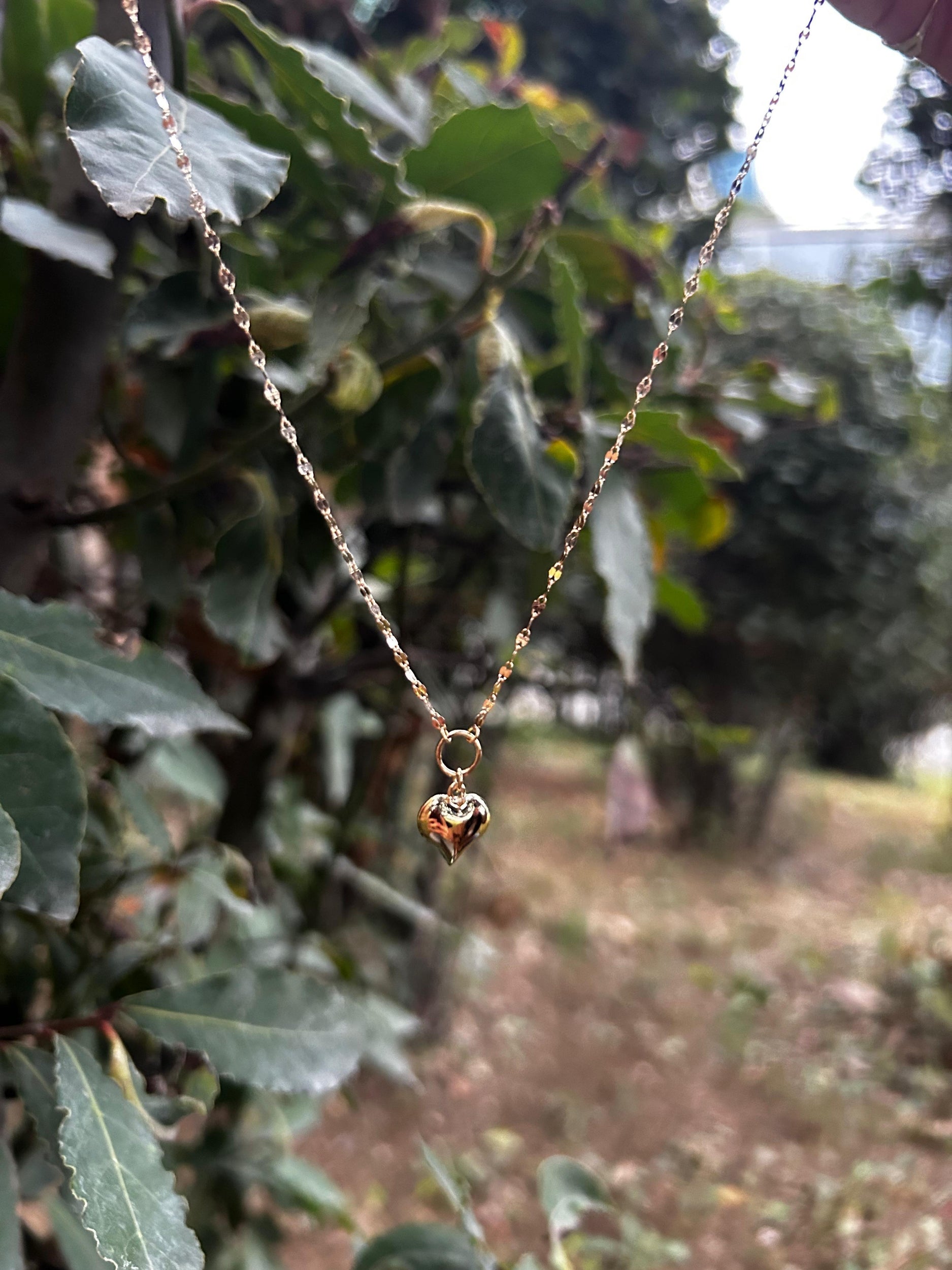 14 Ayar Kelebek Zincir Kalpli Kolye