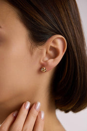 14 Ayar Altın Oval Sarmaşık Küpe