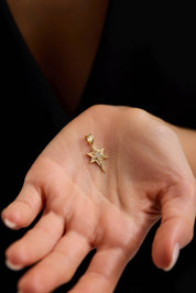 14 Ayar Kutup Yıldızı Altın Kolye Ucu