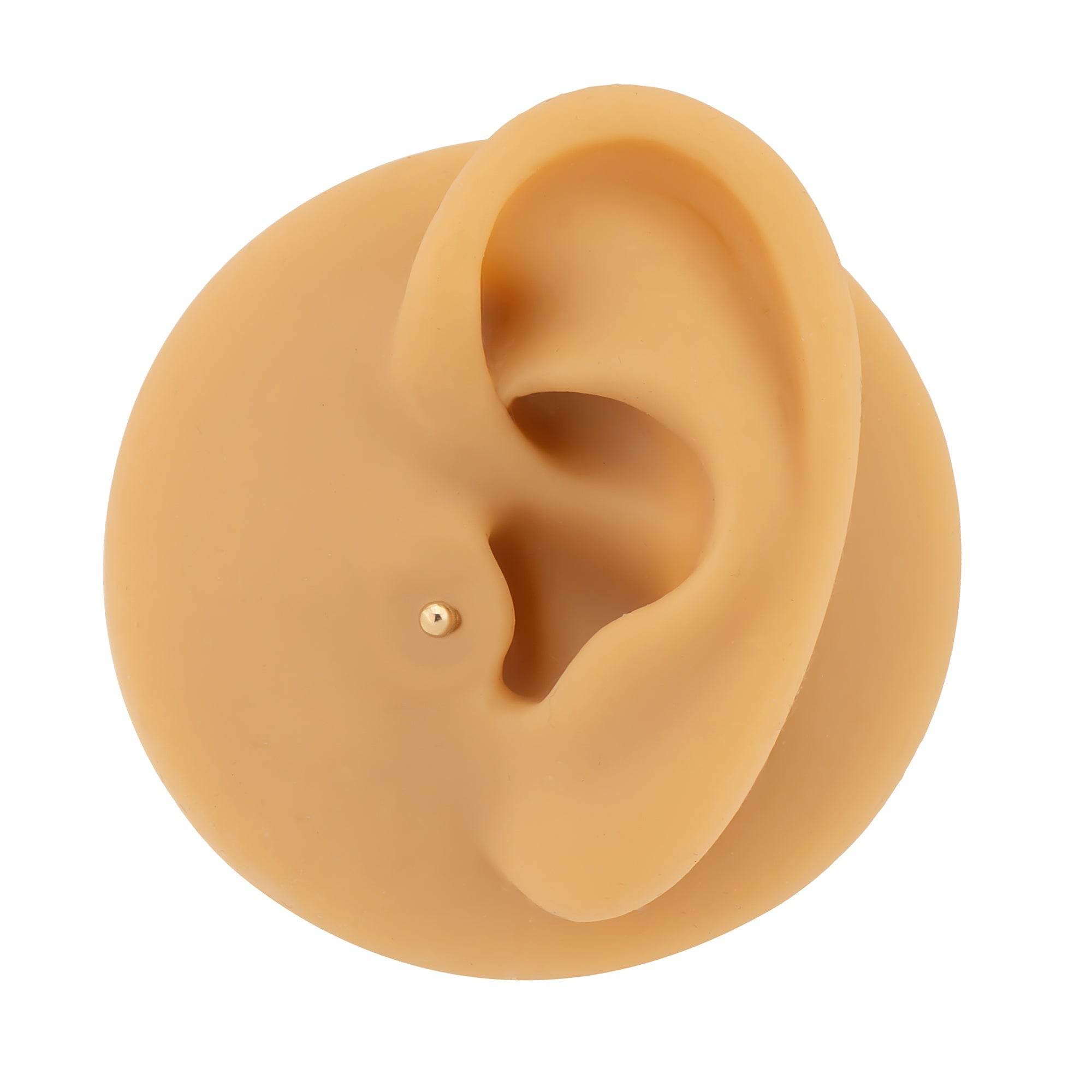 14 Ayar Altın Top Piercing