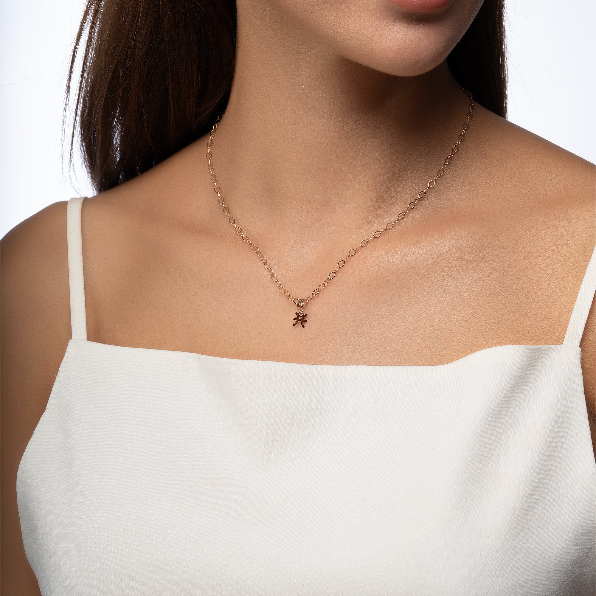 LRXP0041_balik_burcu_charm_2.jpg