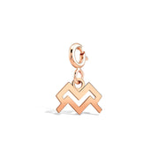 Kova Burcu Aquarius Altın Charm