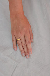 Golden Pasting Ring