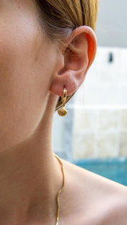 Gold Shell Earrings