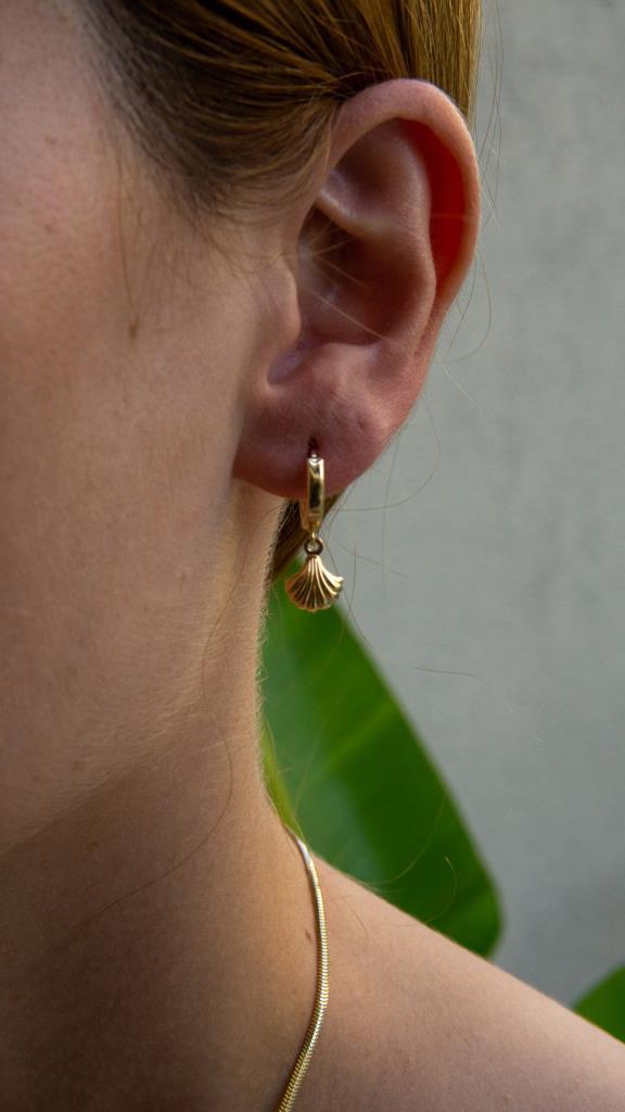 Gold Shell Earrings