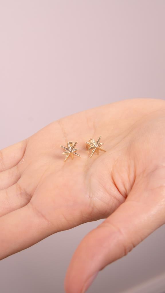 Gold Pole Star Earrings