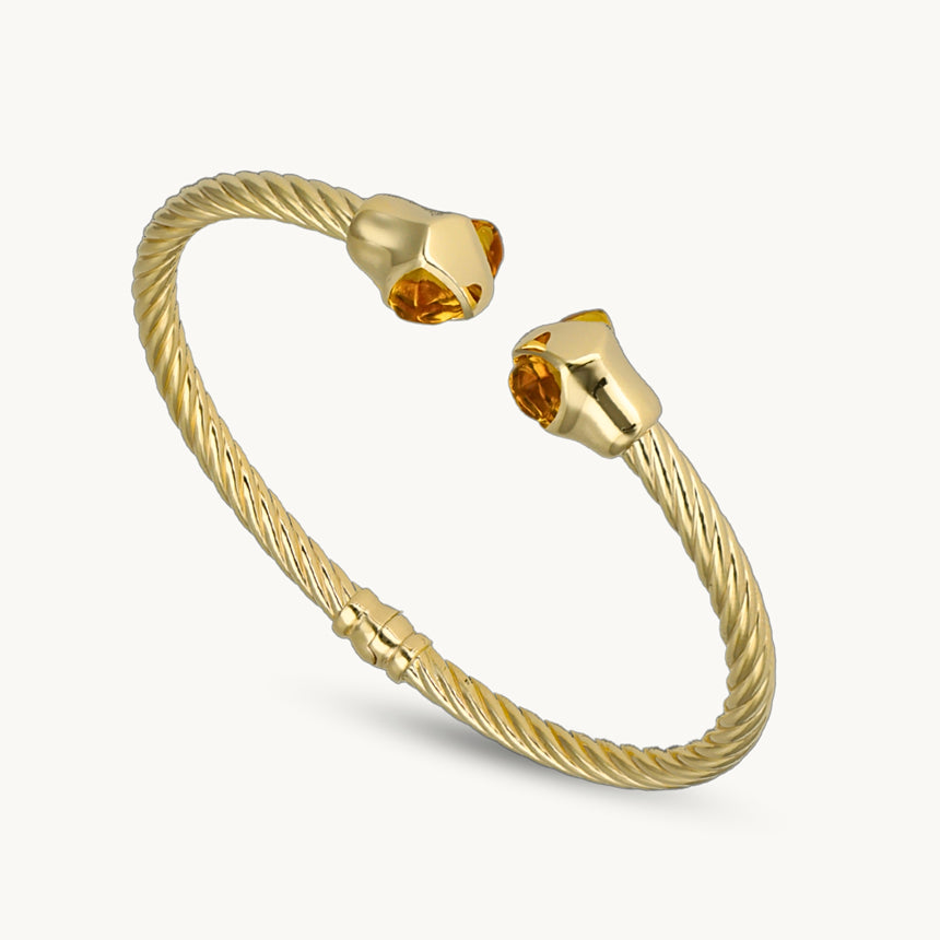 cetas-twist-209971.jpg