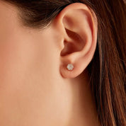 Coronet 0.38 CT Pırlanta Taşlı Rose Altın Küpe