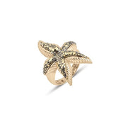 Deniz Yıldızı Figürlü Gurmet Set