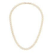 Halka Zincir Altın Kolye