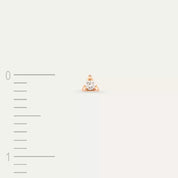 Mini Pırlanta Taşlı Rose Altın Tek Küpe