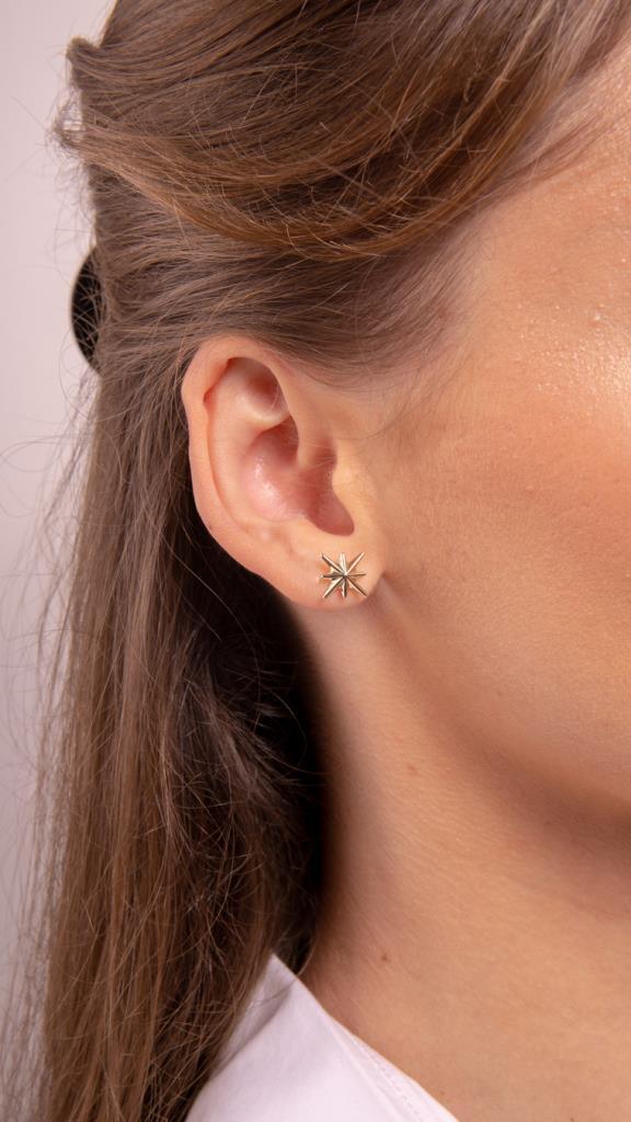 Gold Pole Star Earrings